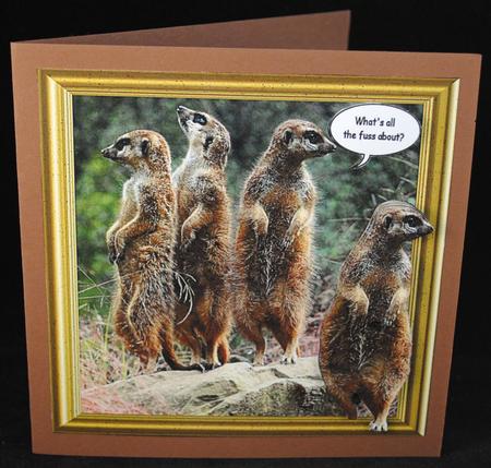 Meerkats Out of the Frame by Yvonne Middleton