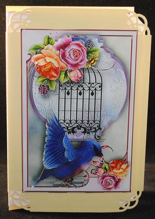 Lovely Blue Bird Female Card by Yvonne Middleton