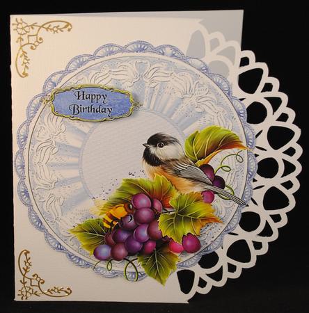 Bird and Lace by Yvonne Middleton