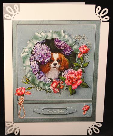 Cavalier King Charles Spaniel by Yvonne Middleton