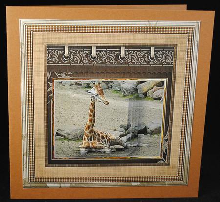 Giraffe 8x8 Card Mini Kit with a Pyramid by Yvonne Middleton
