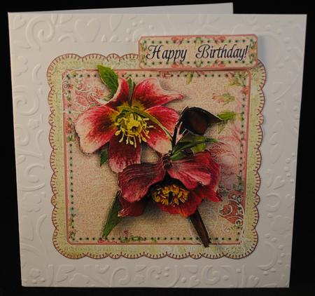 Christmas Rose by Yvonne Middleton