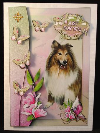 Collie with Magnolia & Butterflies by Yvonne Middleton