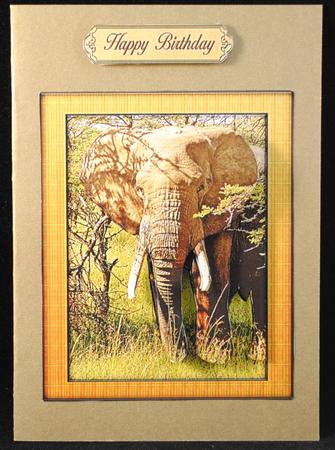 Wild Animal Series - Elephant - Decoupage by Yvonne Middleton