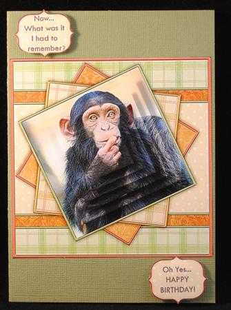 Funny Chimp Topper & Pyramid Decoupage by Yvonne Middleton