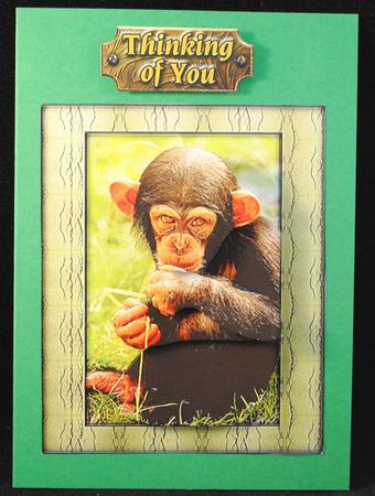 Young Wild Animals - Baby Chimpanzee - Decoupage by Yvonne Middleton