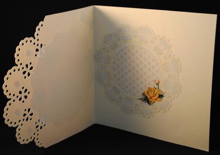 Broderie & Roses Insert by Yvonne Middleton