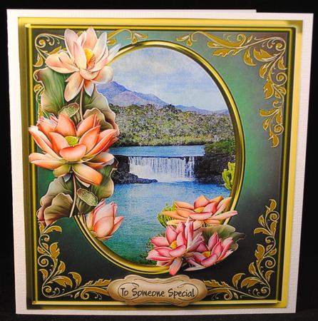 Beautiful Lotus Flowers at the Waterfalls by Yvonne Middleton