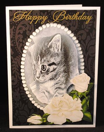 Sweet Little Kitten 3 by Yvonne Middleton