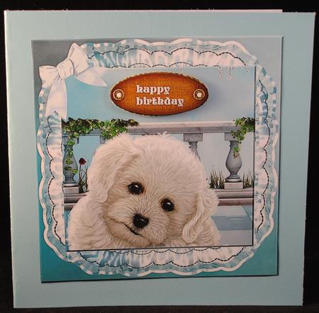 Cute Puppy Belated Birthday/other Occasion by Yvonne Middleton