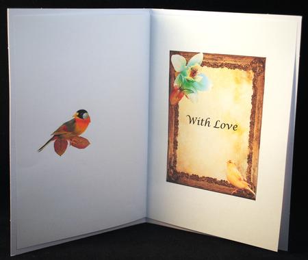 Country Birds Framed Insert & Sentiment by Yvonne Middleton