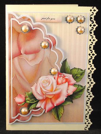 Roses Beauty by Yvonne Middleton