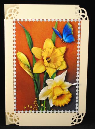 Daffodils by Yvonne Middleton