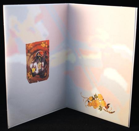 The Violinist Insert by Yvonne Middleton