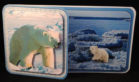Arctic Polar Bear by Yvonne Middleton