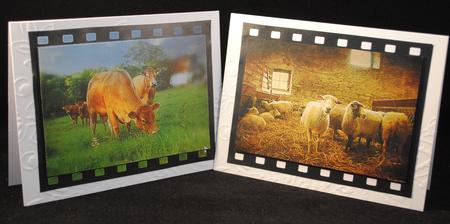 Farm Animals by Yvonne Middleton