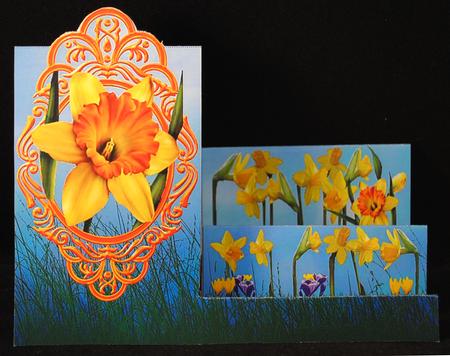 Stepping Daffodils by Yvonne Middleton