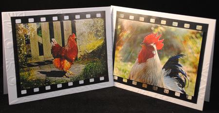 Rooster Backgrounds by Yvonne Middleton