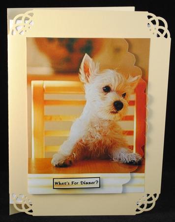 Bossy Pup by Yvonne Middleton