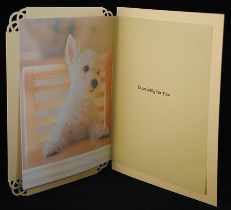 Bossy Pup Insert by Yvonne Middleton