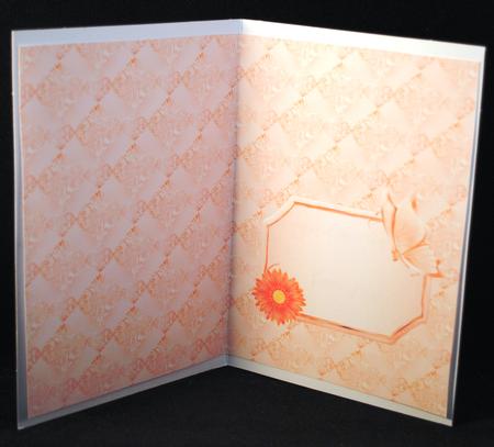 A5 Peach Butterfly Portrait Insert by Yvonne Middleton