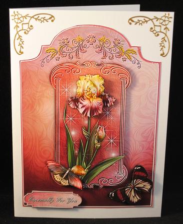 Iris Dream - Shaped Card Front with Step by Step by Yvonne Middleton