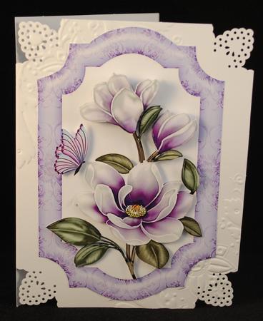Lilac Magnolias with Butterflies by Yvonne Middleton