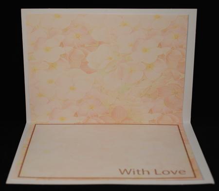 Lovely Peach Hydrangea Flower Insert by Yvonne Middleton