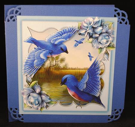 Lovely Bluebirds of Happines by Yvonne Middleton