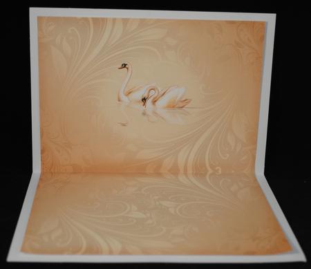 Wedding Swans, Insert by Yvonne Middleton