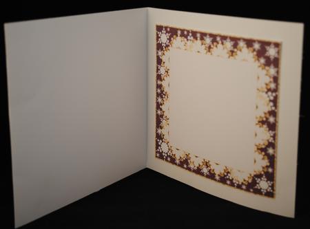 Christmas Blank Insert with Snowflakes 8 by Yvonne Middleton