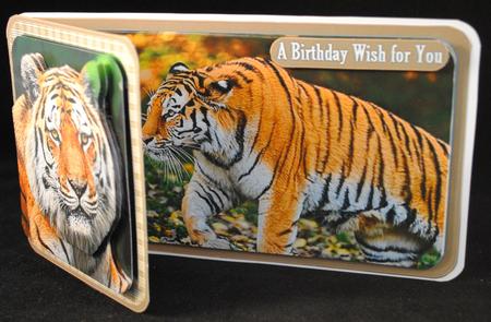 Siberian Tiger by Yvonne Middleton
