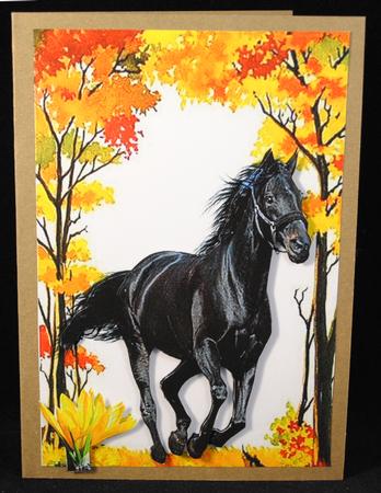 Beautiful Black Stallion in Autumn Woods by Yvonne Middleton