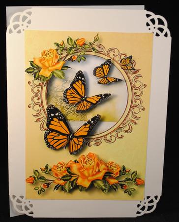 Pretty Peach Roses and Butterflies by Yvonne Middleton