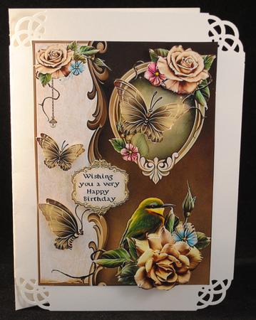Butterflies Birds and Blooms by Yvonne Middleton