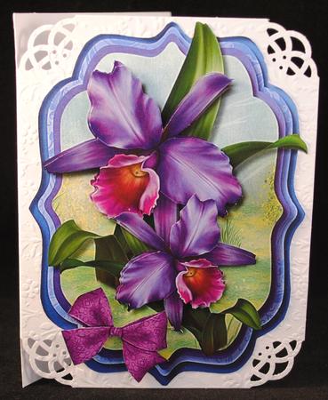 Stunning Lilac Orchids in a Bracket Frame  by Yvonne Middleton