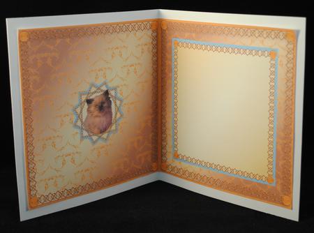 Gorgeous Brown Kitten Insert by Yvonne Middleton