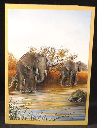At the Watering Hole Card Front by Yvonne Middleton