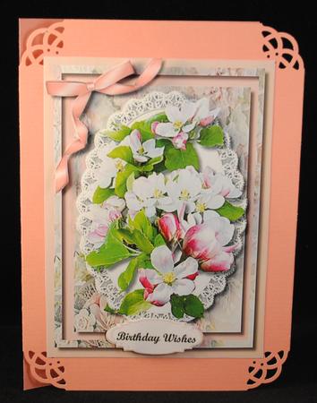 Beautiful Apple Blossom on Butterfly Lace  by Yvonne Middleton