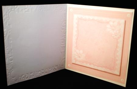 Lovely Baby Pink Flower Incert by Yvonne Middleton