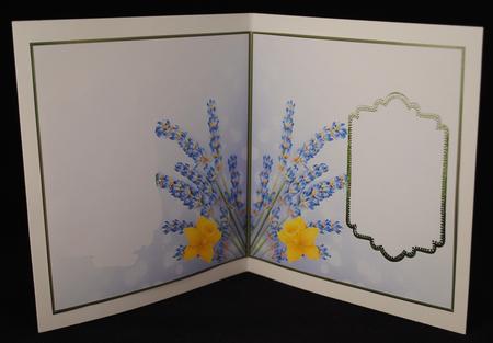 Spring Daffodil Insert by Yvonne Middleton