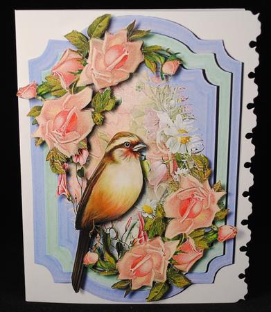 Lovely Bird Among the Roses  by Yvonne Middleton