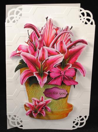 Flowerpot Orchids by Yvonne Middleton