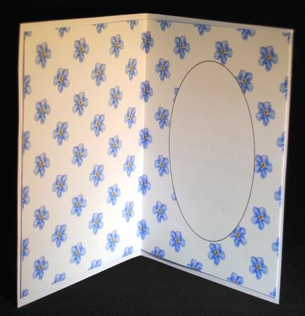 Forget-me-not Flowers Insert by Yvonne Middleton