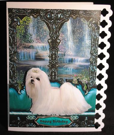On My Window Seat - White Maltese by Yvonne Middleton