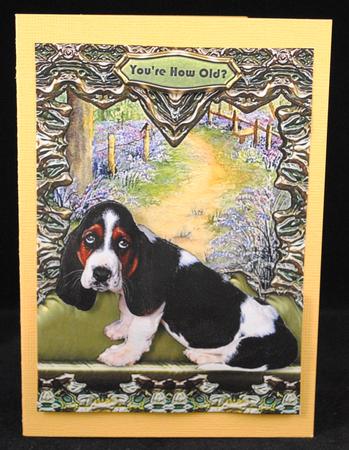 On My Window Seat - You're How Old? Basset Hound by Yvonne Middleton
