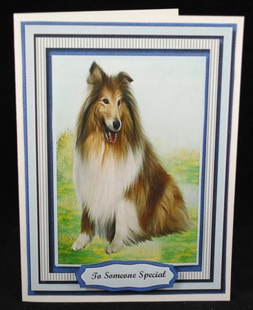 A Stunning Collie ( Lassie) . by Yvonne Middleton