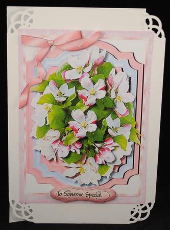 Beautiful Apple Blossom in a Bracket Frame  by Yvonne Middleton