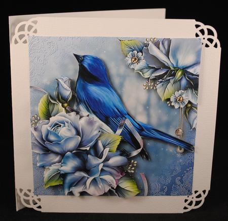 Fabulous Flycatcher & Blue Roses by Yvonne Middleton