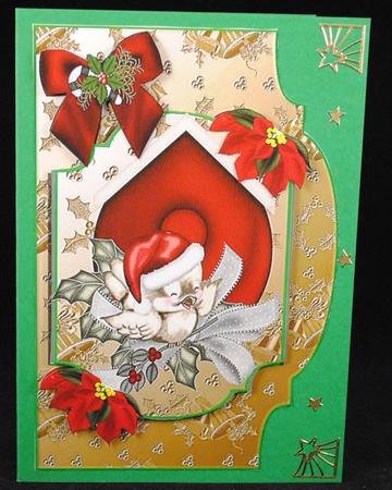 Cute Robin in Bird House Card Front, & Topper by Yvonne Middleton